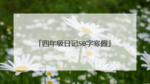 四年级日记50字寒假
