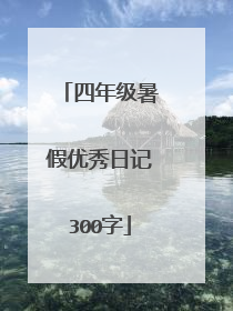 四年级暑假优秀日记300字