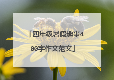 四年级暑假趣事400字作文范文