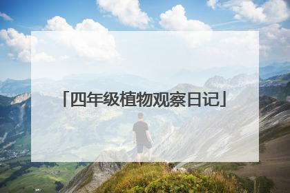 四年级植物观察日记