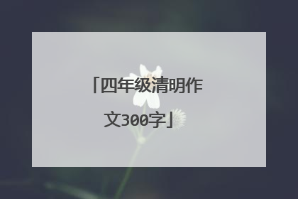 四年级清明作文300字