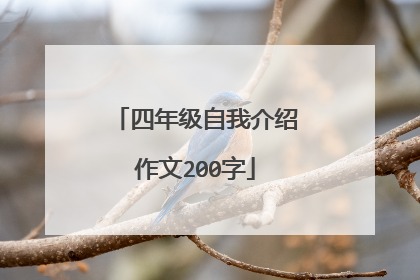 四年级自我介绍作文200字