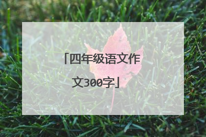 四年级语文作文300字