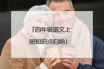四年级语文上册知识点归纳