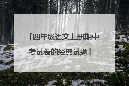 四年级语文上册期中考试卷的经典试题