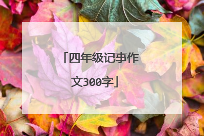 四年级记事作文300字