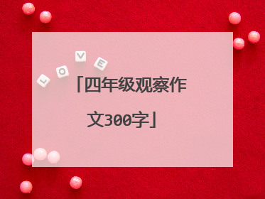 四年级观察作文300字