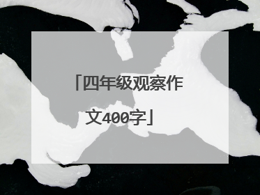 四年级观察作文400字