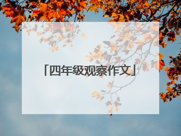 四年级观察作文