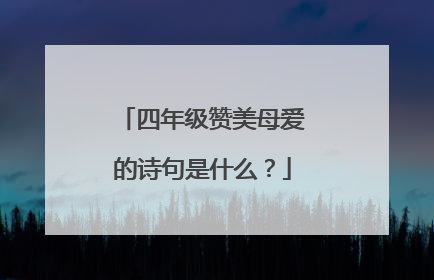 四年级赞美母爱的诗句是什么？