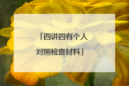 四讲四有个人对照检查材料