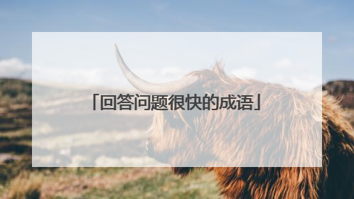 回答问题很快的成语