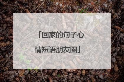 回家的句子心情短语朋友圈