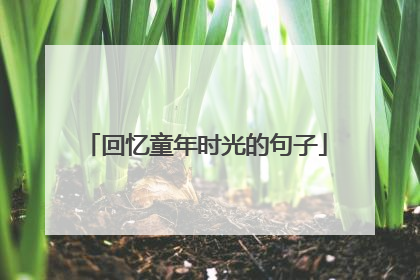 回忆童年时光的句子