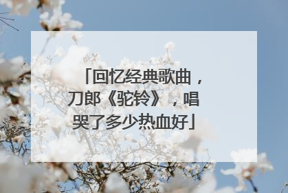 回忆经典歌曲,刀郎《驼铃》,唱哭了多少热血好