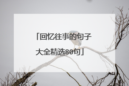 回忆往事的句子大全精选80句
