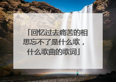 回忆过去痛苦的相思忘不了是什么歌,什么歌曲的歌词