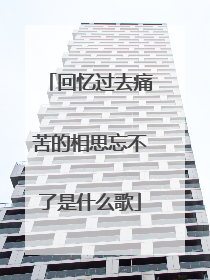 回忆过去痛苦的相思忘不了是什么歌