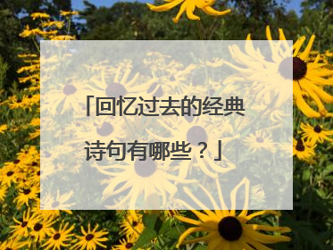 回忆过去的经典诗句有哪些？