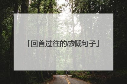 回首过往的感慨句子