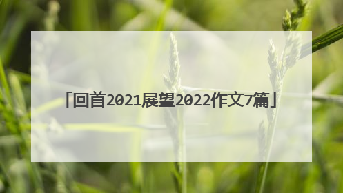回首2021展望2022作文7篇