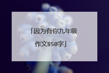 因为有你九年级作文850字