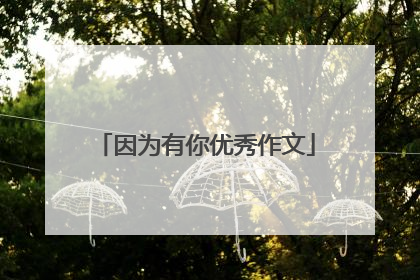 因为有你优秀作文