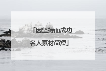因坚持而成功名人素材简短