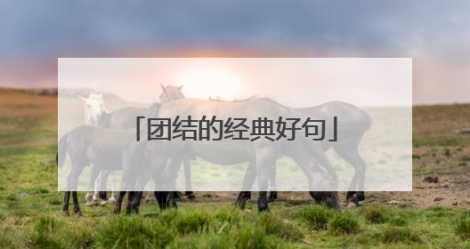 团结的经典好句