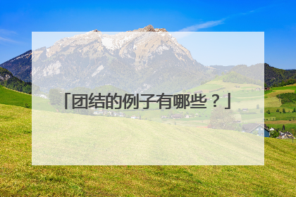 团结的例子有哪些?