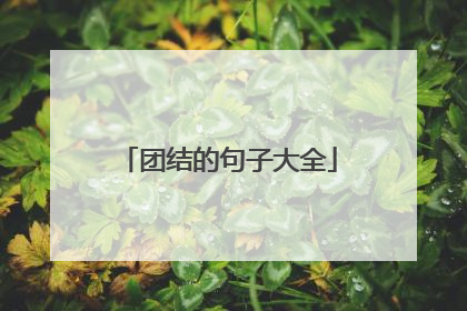 团结的句子大全
