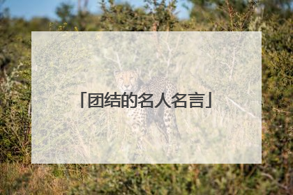 团结的名人名言