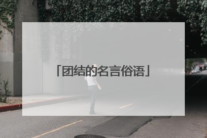 团结的名言俗语