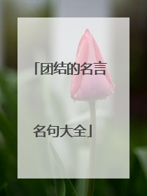 团结的名言名句大全