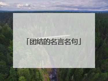 团结的名言名句
