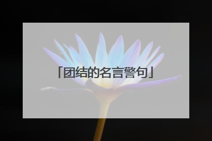 团结的名言警句