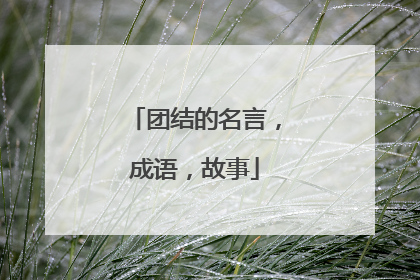 团结的名言，成语，故事