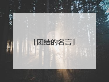 团结的名言