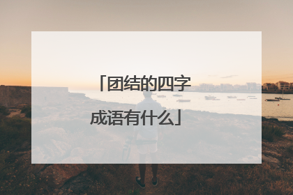 团结的四字成语有什么
