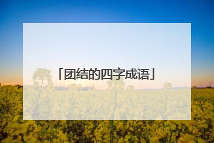 团结的四字成语