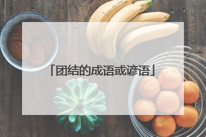 团结的成语或谚语