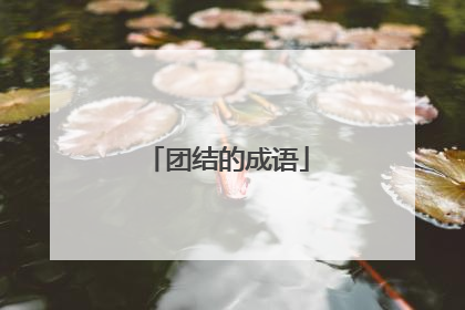 团结的成语