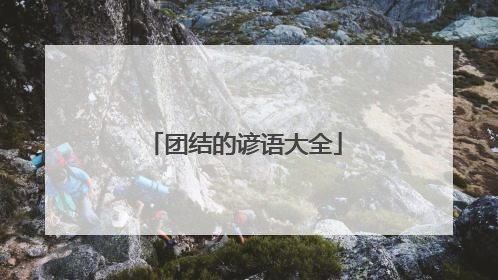 团结的谚语大全