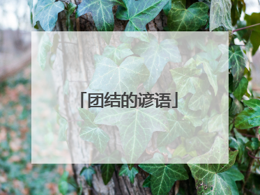团结的谚语