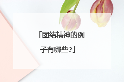 团结精神的例子有哪些?