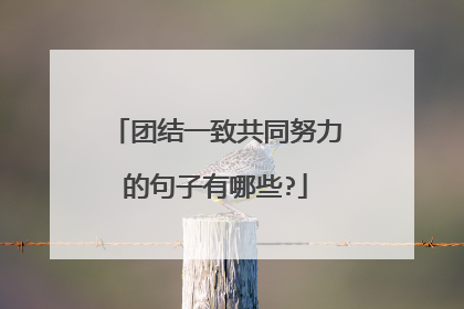 团结一致共同努力的句子有哪些?
