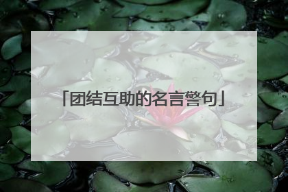 团结互助的名言警句