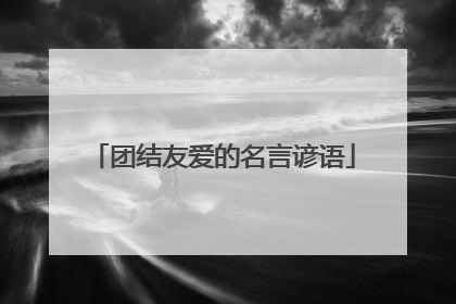 团结友爱的名言谚语