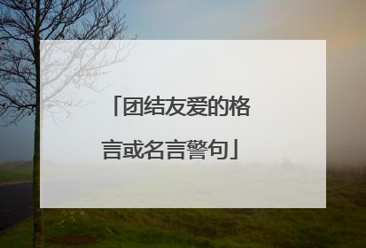 团结友爱的格言或名言警句