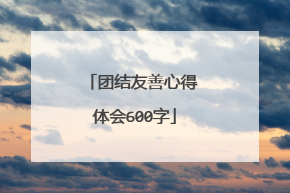 团结友善心得体会600字